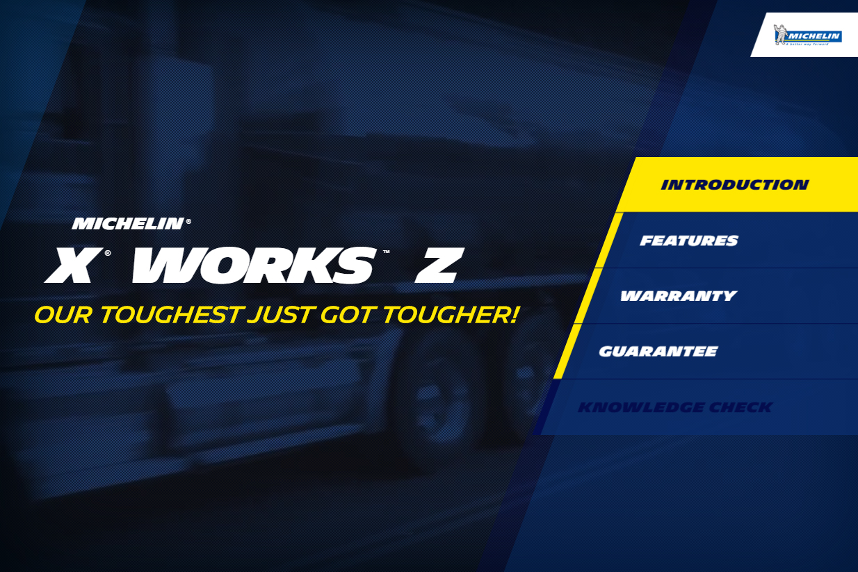 Michelin Energy Z work sample